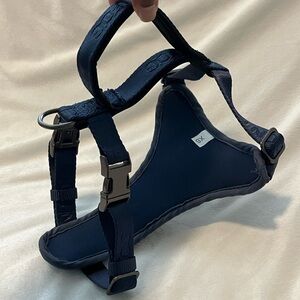 Blue XS dog harness
